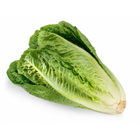 Butternut - Image 2