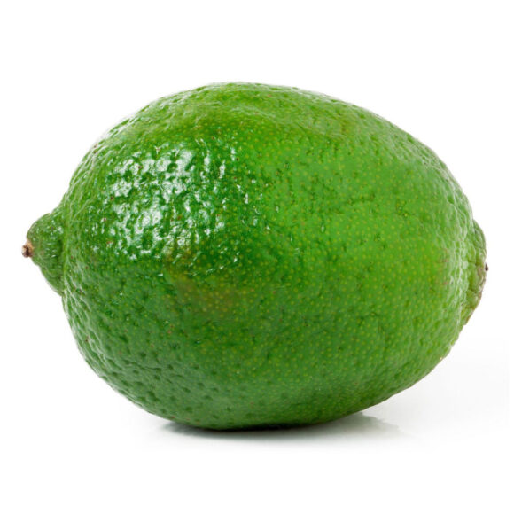Avocadon - Image 5