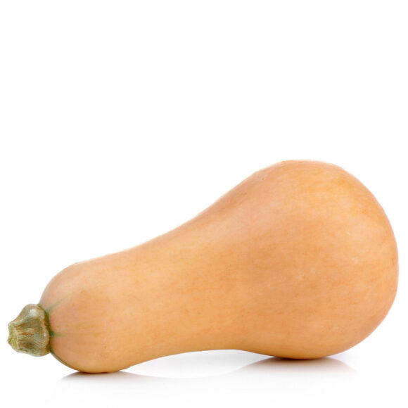 Squash Chayote - Image 2