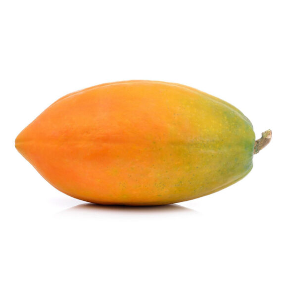 Avocadon - Image 4