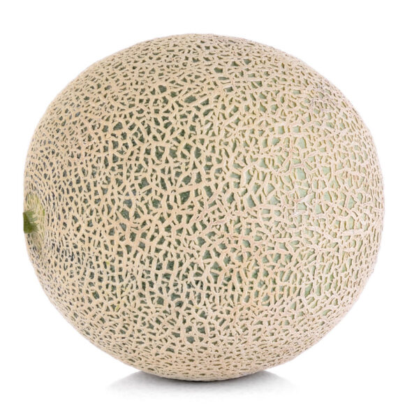 Squash Chayote - Image 4